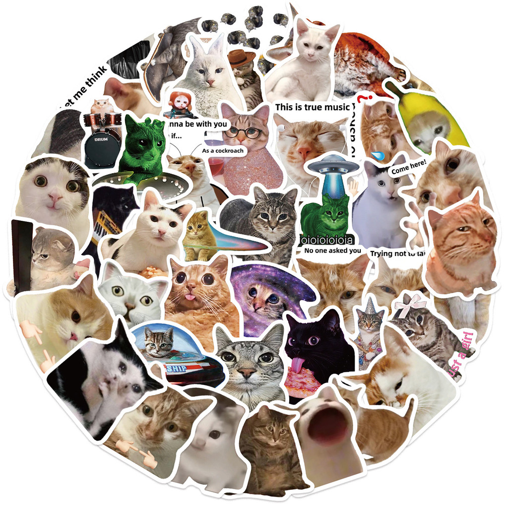 50PCS Viral Cat Meme Stickers  - Tech Gear Accessories ulasan dan harga